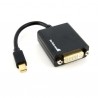 StarTech.com  Mini DisplayPort to DVI Video Adapter Converter