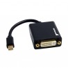 StarTech.com  Mini DisplayPort to DVI Video Adapter Converter
