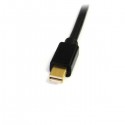 StarTech.com 6 ft Mini DisplayPort to DVI Cable - M/M