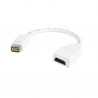 Mini DVI to HDMI&reg; Video Adapter for Macbooks&reg; and iMacs&reg;- M/F