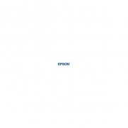 Epson Interface Cards & Adapters