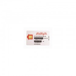 Avaya Security/Access Control Systems