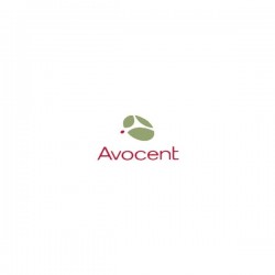 Avocent Cable Interface/Gender Adapters